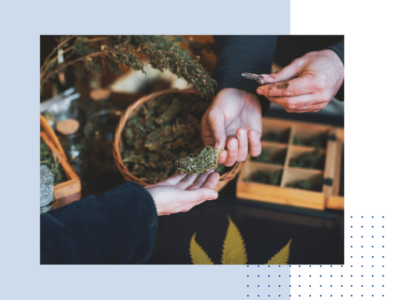 cannabisservices